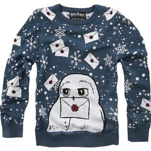 Harry Potter Kids - Hedwig Sweatshirt blauw 164