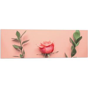 Vlag - Roze Roos bij Groene Takken op Koraalroze Achtergrond - 90x30 cm Foto op Polyester Vlag