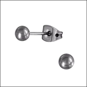 Aramat jewels ® - Zilverkleurige bolletjes oorbellen titanium 5mm