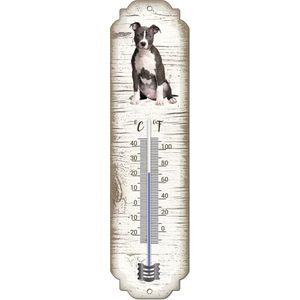 Thermometer: American staffordshire terrier | Hondenras | Temperatuur binnen en buiten | -25 tot +45C