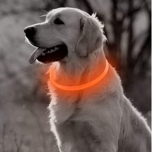 Oranje LED Halsband Hond - Maat XL | Grote Honden Verlichte Hondenhalsband USB Oplaadbaar | Lichtgevende Veiligheids Halsband voor Honden