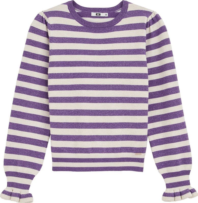 WE Fashion - Gebreide Trui - Paars - Regular Fit - Viscose