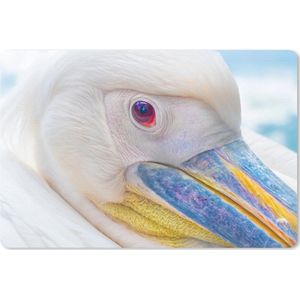 Bureau mat - Close-up van een pelikaan - 60x40