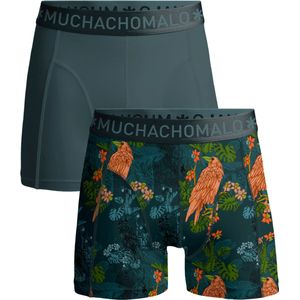 Boxershort Muchachomalo Men Shorts Crowsketch Print/Green 