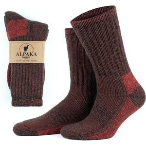 GoWith Diabetes Alpaca Wollen Sokken-2 paar-Thermosokken-Maat 39-42