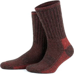 GoWith-2 paar-alpaca wollen sokken-diabetes wollen sokken-volledige badstof-huissokken-thermosokken-cadeau sokken-maat 39-42