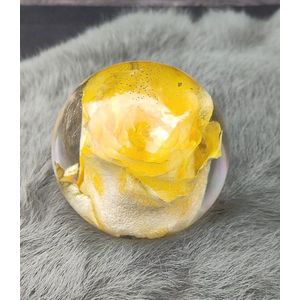 Resin Art JR: Unieke gedroogde Gele Roos in Bol