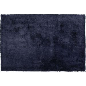 EVREN - Shaggy vloerkleed - Blauw - 140 x 200 cm - Polyester