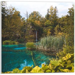 Forex - Meer met Groene Bomen en Planten - 50x50cm Foto op Forex