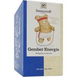 Sonnentor Biologische Thee Zakjes Gember Energie 18 stuks