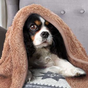 huisdierdeken voor hond of kat, zachte afwerking, zware winterdeken, fleece deken gezellig kattenbed, 119,9L x 80B centimeter