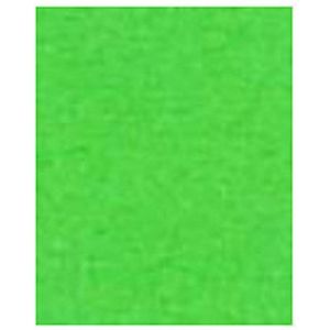 Papier - Groen - 160 gram - 210x297mm - A4 - Groen - Zuurvrij - 25vellen - Spectra - Gekleurd Papier