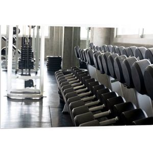 PVC Schuimplaat - Rij Dumbells op Rek in Sportschool - 105x70 cm Foto op PVC Schuimplaat (Met Ophangsysteem)