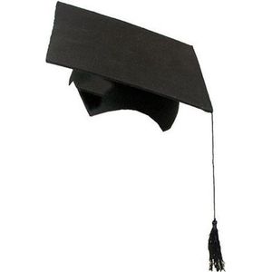 2-delige afstudeer hoed geslaagd zwart met kwast voor volwassenen - Examen diploma uitreiking feestartikelen