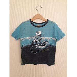 Hatley t-shirt 104