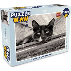 Puzzel Close-up van een kat - Legpuzzel - Puzzel 1000 stukjes volwassenen