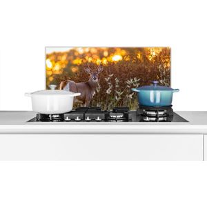 Spatscherm keuken - Hert - Heide - Natuur - Zonsondergang - Keuken - Keuken achterwand - Muurbeschermer - 60x30 cm - Spatscherm hert - Spatwand - Keuken decoratie