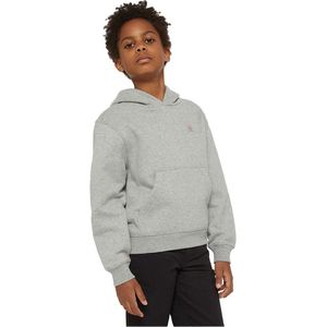 Dickies Youth Oakport Capuchon Grijs M Man
