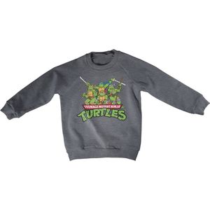 Teenage Mutant Ninja Turtles Teeange Mutant Ninja Turtles Distressed Group Kids Sweatshirt Kinder Dark-Heather-6 Jahre