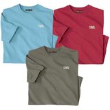 ATLAS FOR MEN - Set van 3 T-shirts Atlas® - Heren - Verkrijgbaar in grote maten - 4XL