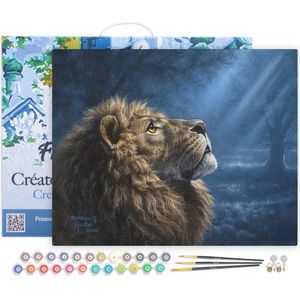 Figured'Art Schilderen op Nummer Volwassenen met lijst - Leeuw in dimlicht - Handwerk acrylverf Kit DIY Compleet - 40x50cm Canvas al ingelijst
