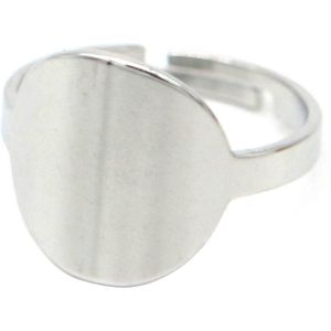 Ring met Cirkel - RVS - One Size - Zilverkleurig