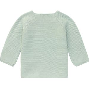 Noppies Baby Longsleeve Pino van Biologisch Katoen Mintgroen