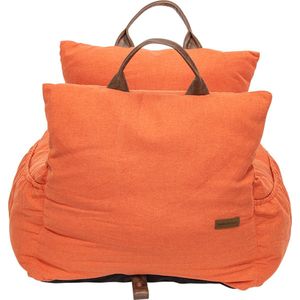 Aldi online bestellen Dierenkleding kopen? Korting tot 30