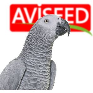 Aviseed Afrikaanse Papegaaien Voer 15kg - Grijze Roodstaart - Complete Voeding -