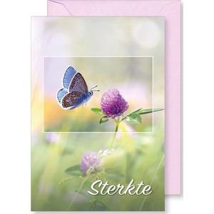 6 Wenskaarten met gekleurde envelop - MGPcards - Sterkte - Condoleance - 11,5 x 17 cm