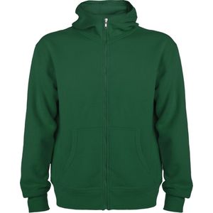 Groen sweatshirt met rits en capuchon model Montblanc merk Roly maat 3XL