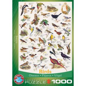 Puzzel - Birds (1000)