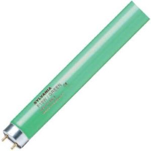 Sylvania T8 F58W/T8/G G13 Green