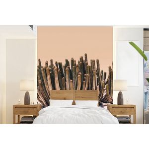 Cactus - Plant - Natuur - Groen - Behangpapier