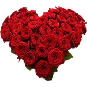Rode rozen hart vorm boeket (40 rozen)