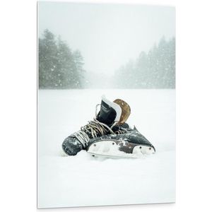 Forex - Schaatsen in de Sneeuw - 80x120cm Foto op Forex