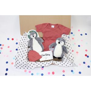 Happy little Box - babybox- Kraampakket - 4 leuke producten - kraamcadeau