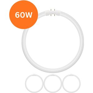 4x TL5 Ronde TL-buis 60W – 830 Warm Wit licht – 2GX13 (4-pins) – Ø 37cm