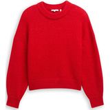 TOM TAILOR DENIM Trui  rood