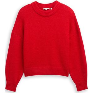 TOM TAILOR DENIM Trui  rood