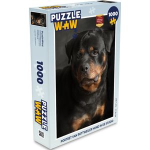 Puzzel Portret van Rottweiler hond in de studio - Legpuzzel - Puzzel 1000 stukjes volwassenen