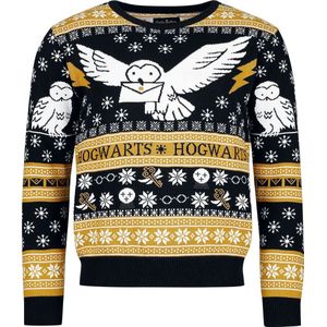 Harry Potter Hedwig Unisex Christmas jumper - meerkleurig - S