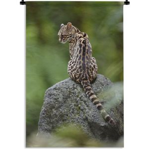 Wandkleed Junglebewoners - Boomkat op steen Wandkleed katoen 120x180 cm - Wandtapijt met foto XXL / Groot formaat!