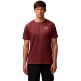 Castore T-Shirt Korte Mouw Heren