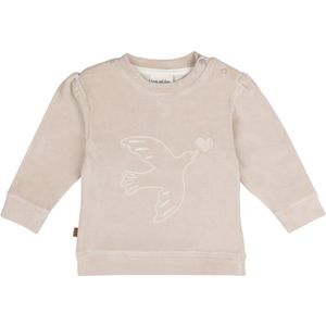 Frogs and Dogs - Follow Your Heart Baby Velvet Sweater | Silver Gray - Katoen - Maat 74