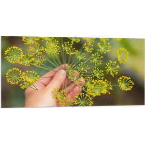 Vlag - Gele Mini Bloemen in Mensenhand - 100x50 cm Foto op Polyester Vlag