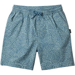 Quiksilver Taxer Korte Broek Blauw 14 Years Jongens