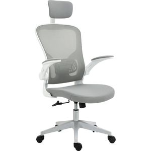 Vinsetto - Bureaustoel - ergonomisch - met dikke vulling - Grijs