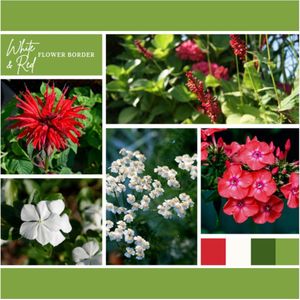 Borderpakket Wit en Rood (9 planten: 1,5 m2)