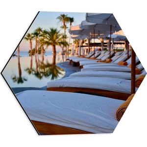 Dibond Hexagon - Strandbedden aan het Zwembad bij Palmbomen - 40x34.8 cm Foto op Hexagon (Met Ophangsysteem)
